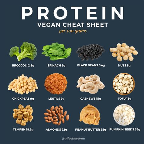Dark magic protein for vegans